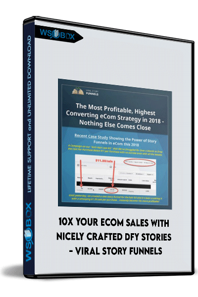 10X-Your-Ecom-Sales-With-Nicely-Crafted-DFY-Stories---Viral-Story-Funnels