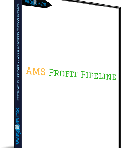 AMS Profit Pipeline