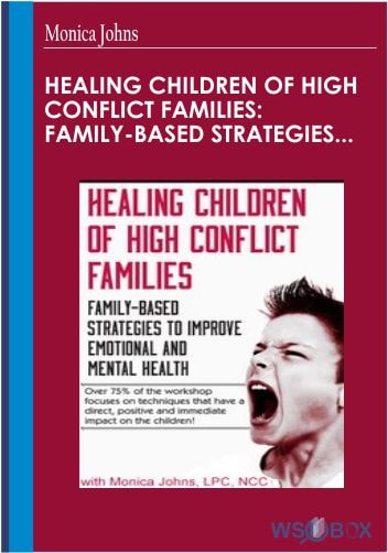 Healing Children of High Conflict Families Family-Based Strategies to Improve Emotional and Mental Health – Monica Johns
