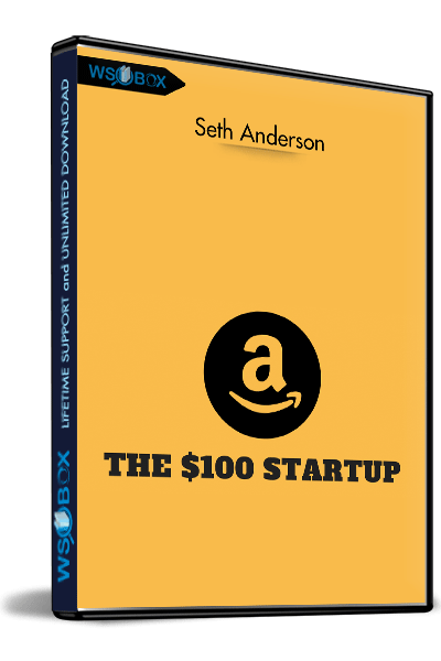 The-$100-Startup---Seth-Anderson