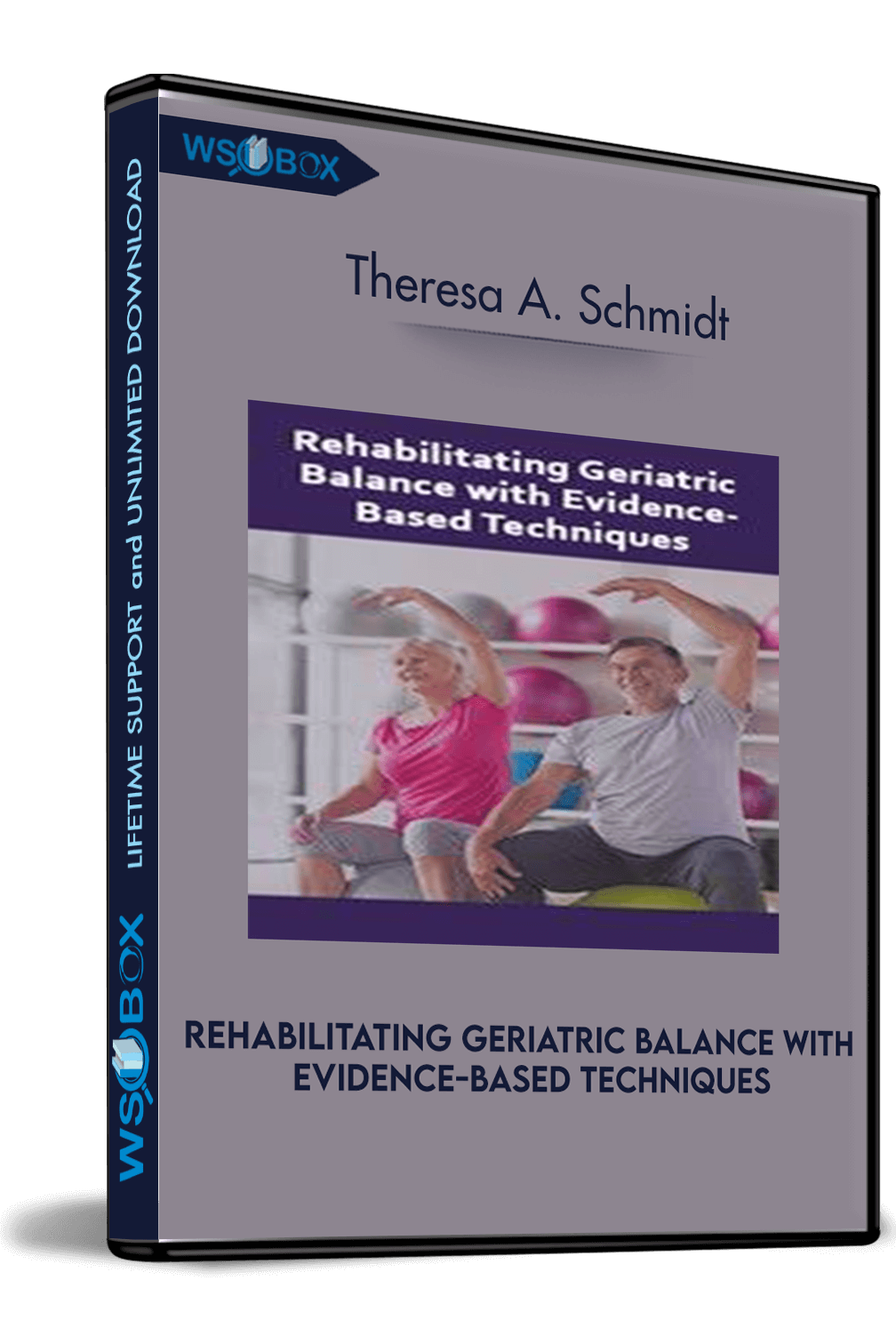 rehabilitating-geriatric-balance-with-evidence-based-techniques-theresa-a-schmidt