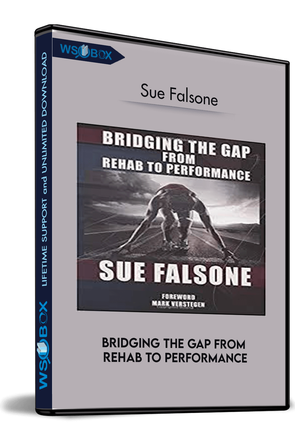 bridging-the-gap-from-rehab-to-performance-sue-falsone