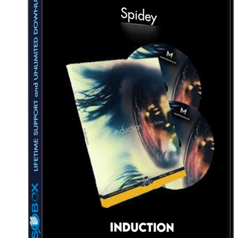 Induction – Spidey