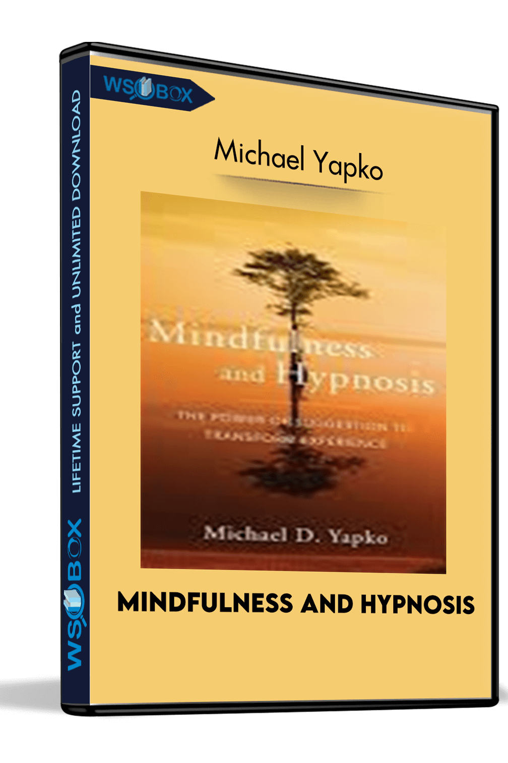 mindfulness-and-hypnosis-michael-yapko