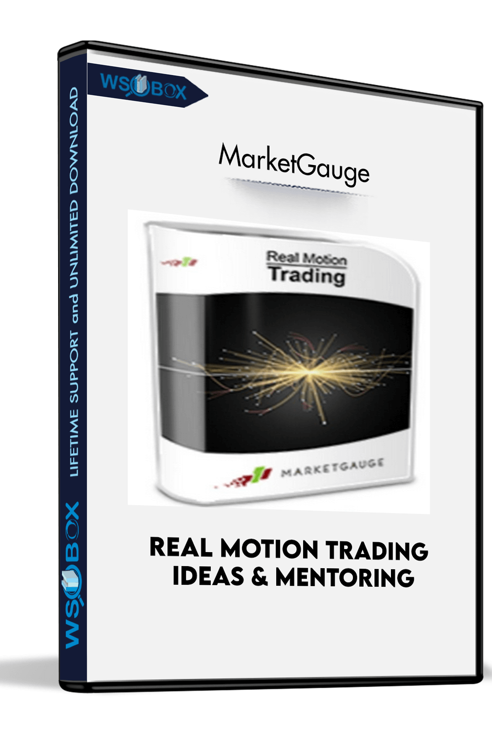 real-motion-trading-ideas-mentoring-marketgauge