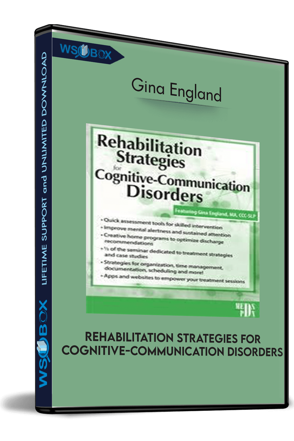 rehabilitation-strategies-for-cognitive-communication-disorders-gina-england