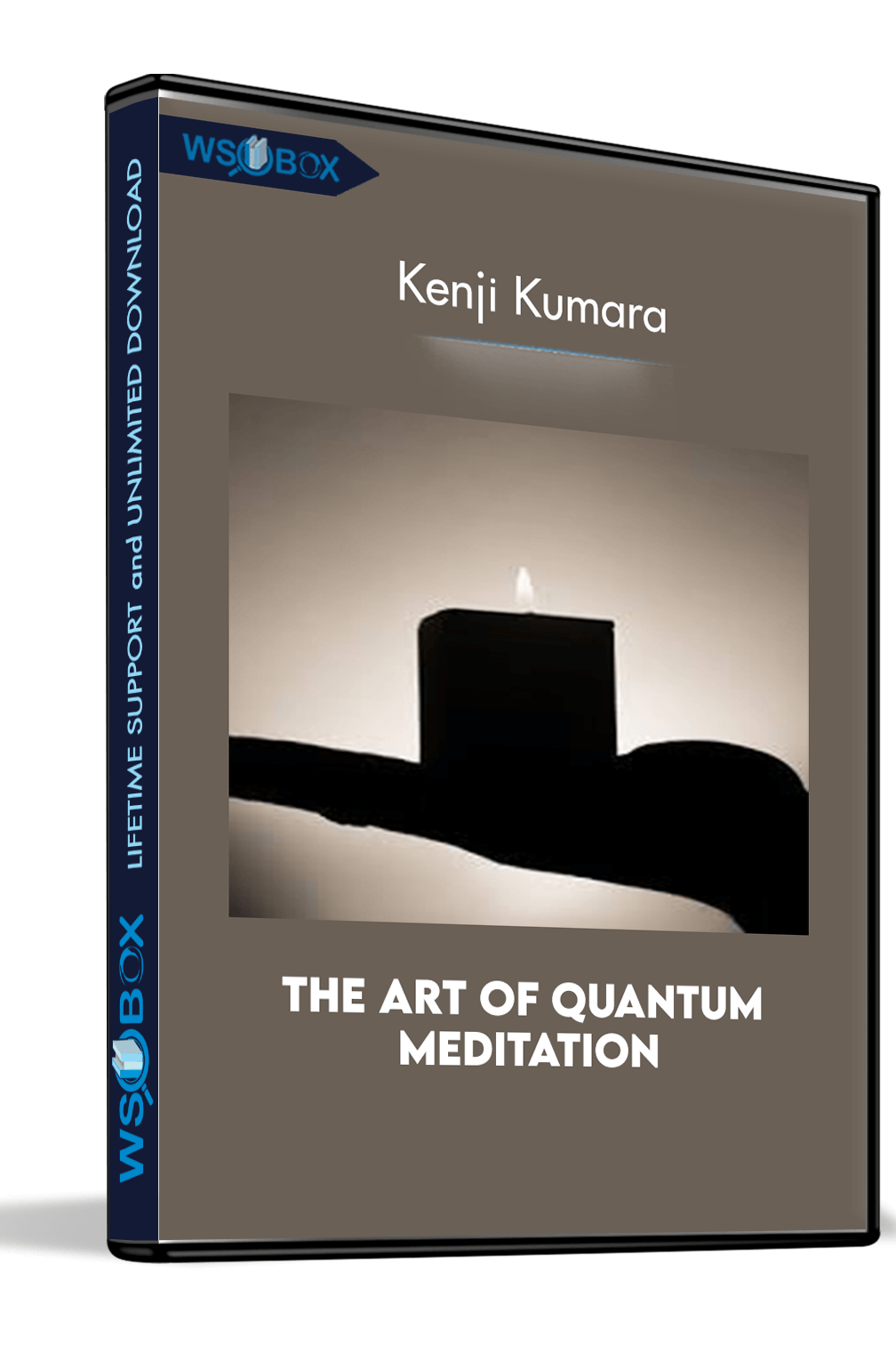 the-art-of-quantum-meditation-kenji-kumara