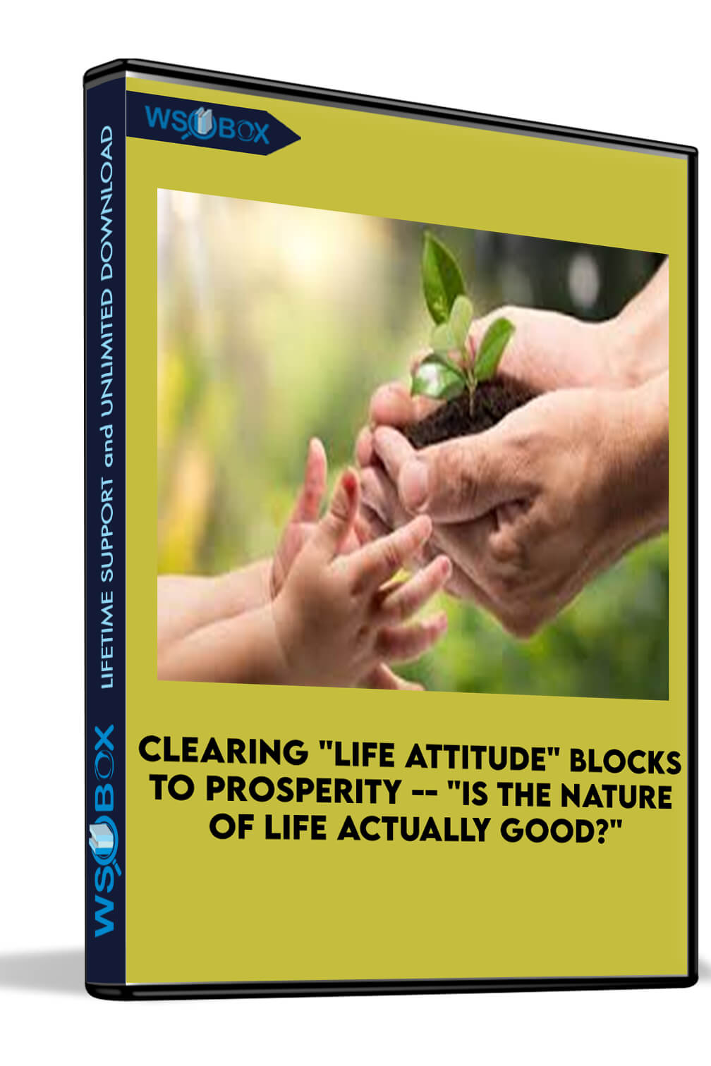 clearing-life-attitude-blocks-to-prosperity-is-the-nature-of-life-actually-good