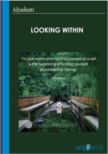 Looking Within – Adyashanti