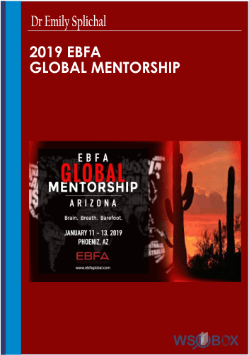 94$. 2019 EBFA Global Mentorship -Dr Emily Splichal