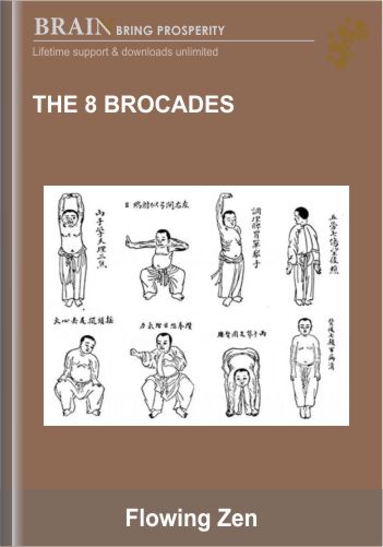 The 8 Brocades - Flowing Zen