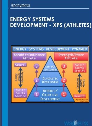 Energy Systems Development – XPS (Athletes)