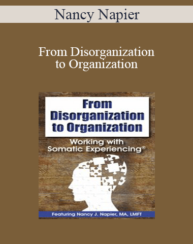 Nancy Napier – From Disorganization To Organization: Working With Somatic Experiencing®